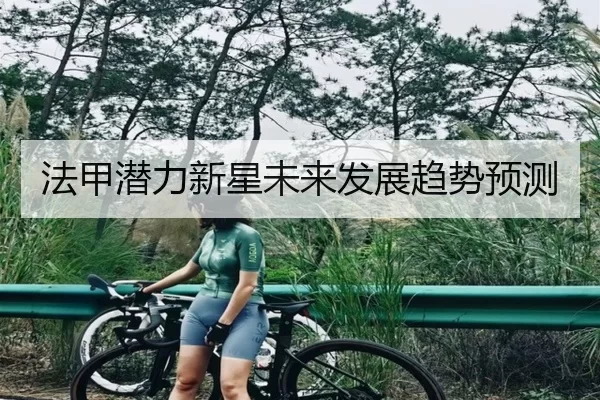法甲潜力新星未来发展趋势预测